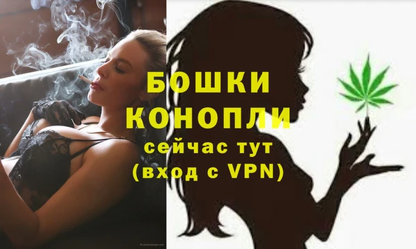 мдпв Горняк