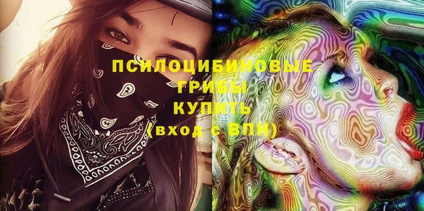 мдпв Горняк