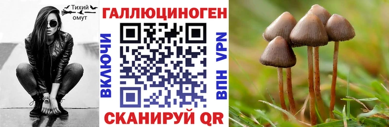 Псилоцибиновые грибы MAGIC MUSHROOMS  Купить закладки  Кинешма 
