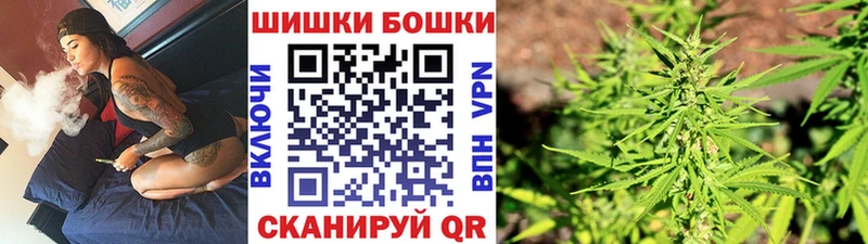 Бошки марихуана THC 21%  Купить закладки  Кинешма 